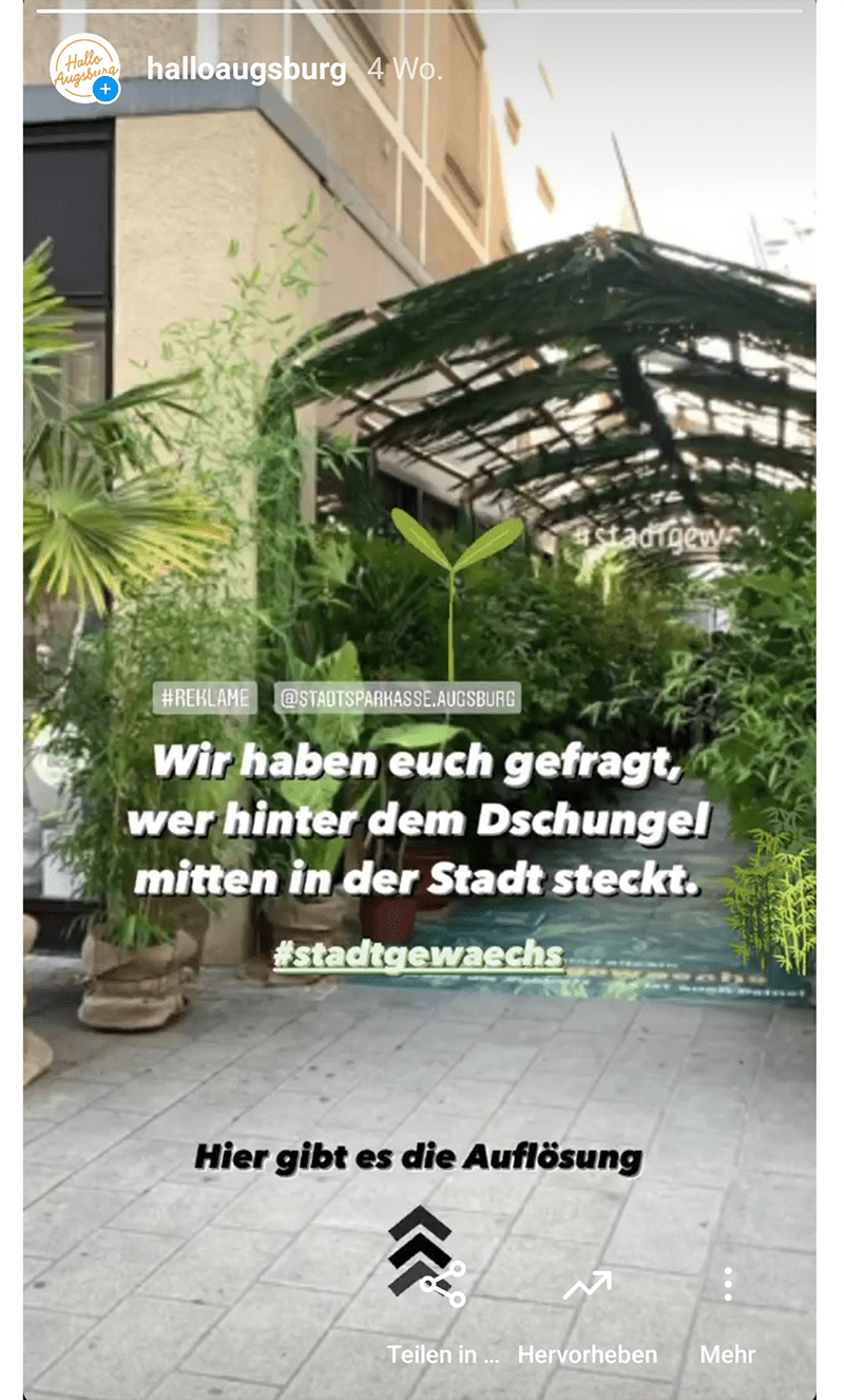 SocMe_Inta-Stadtgewächs-Story