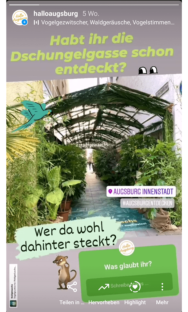 SocMe_Inta-Stadtgewächs-Story